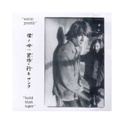 SONIC YOUTH "Hold That...
