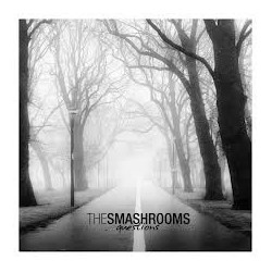 SMASHROOMS. THE ”Questions”...