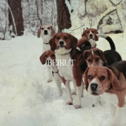 BEIRUT "East Harlem" 7"EP