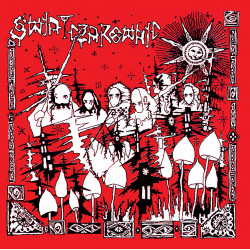 ŚWIAT CZAROWNIC "Hokka hey" LP