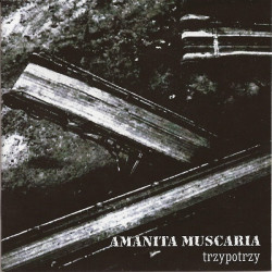AMANITA MUSCARIA...