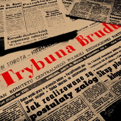 TRYBUNA BRUDU "PGNM / Live...